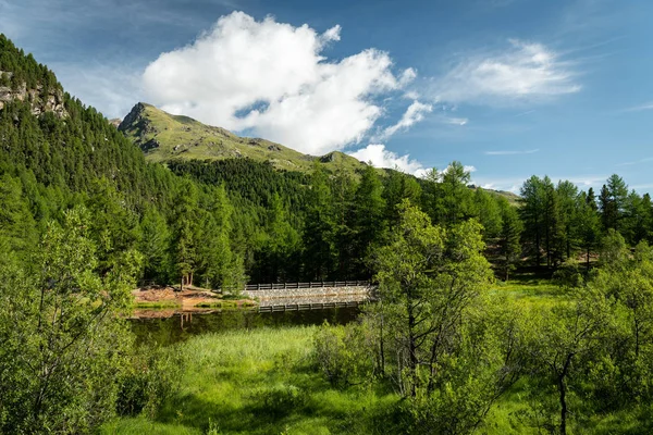 Pequeño estanque en el valle de Martell en un día soleado en verano — Foto de Stock