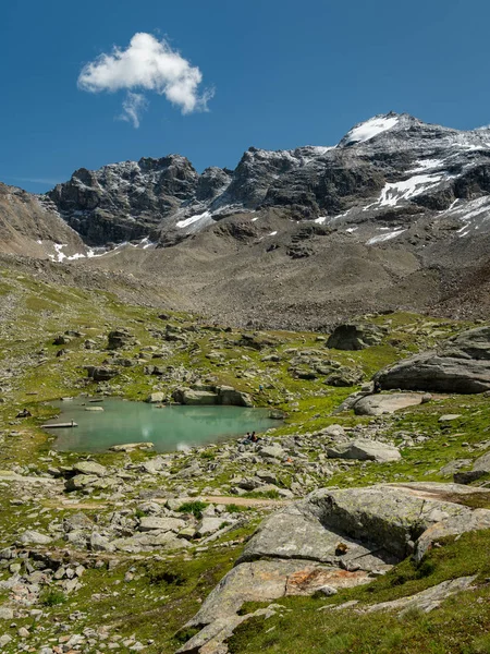 Petit étang près de Duesseldorfer Huette dans les Alpes Ortler — Photo