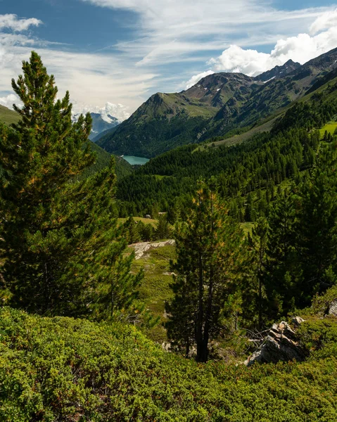 Lembah Martell di Tyrol Selatan pada hari yang cerah di musim panas — Stok Foto