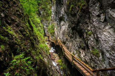 Yukarı Avusturya 'da Vogelsang Vadisi. Yazın bulutlu bir günde. Bu, Yukarı Avusturya 'nın toplam 1,5 km uzunluğunda ve 500 tahta ve taş basamaklı en uzun geçididir..