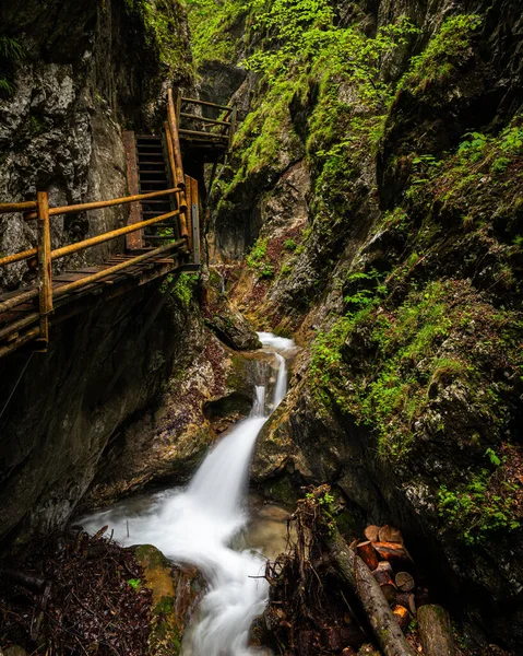 Vogelsang Gorge Upper Austria Cloudy Day Summer Longest Gorge Upper — Stock Photo, Image