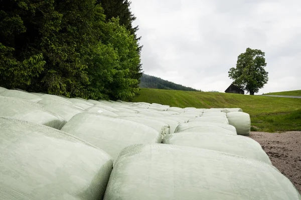 Haylage Ballots Par Temps Nuageux Fin Printemps Alpes Autrichiennes — Photo