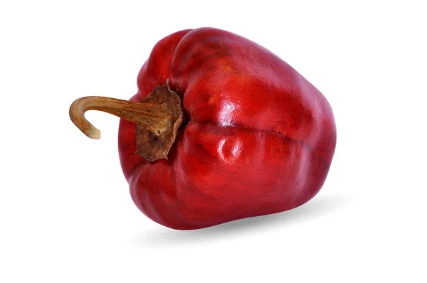 Καυτό Κόκκινο Ξηρό Στρογγυλή Πιπεριά Τσίλι Απομονωμένες Φόντο — Φωτογραφία Αρχείου