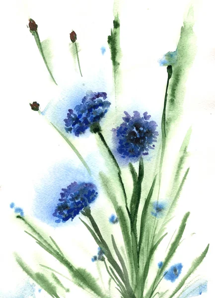 Ilustracja Tekstura Chaber Niebieski Natura Lato Niebieski Niebo Piękno Akwarela — Zdjęcie stockowe