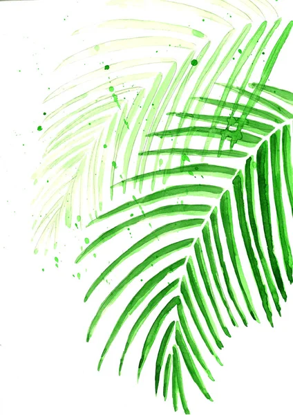 Palma Acuarela Arte Fondo Botánica Exótico Bosque Verde Ilustración Aislado — Foto de Stock