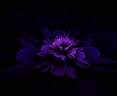 Fantezi fraktal çiçek koyu arka planda. Grafik tasarımınız için desen olarak çiçek