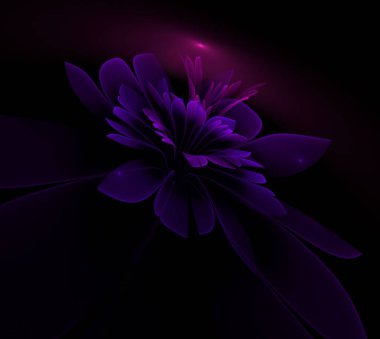 Fantezi fraktal çiçek koyu arka planda. Grafik tasarımınız için desen olarak çiçek