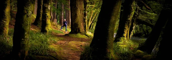 Woman standing in a beautifully lit forest in Glencoe, Scotland. — Stock Photo, Image