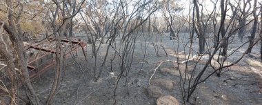 Barden Ridge 'deki Bush yangınından sonra