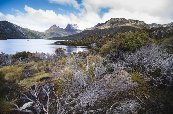 Cradle Mountain Dove Lake Tasmania Australia — Stock Photo, Image