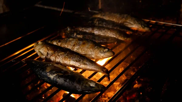 Grilled Portuguese Sardines. Fish barbecue.