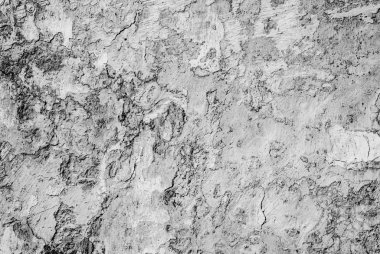  Siyah ve beyaz kontrast yıpranmış duvar ışık arka plan için defocusing içinde sıva ile eski bir fotoğrafı