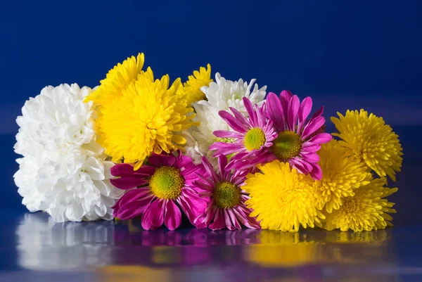 Ein Strauß Gelber Weißer Und Lila Blumen Auf Blauem Hintergrund — Stockfoto