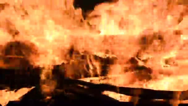 火焰篝火从各种分支特写 — 图库视频影像