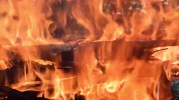  Un grand tronc de bois brûle dans un feu. Vidéo au ralenti 