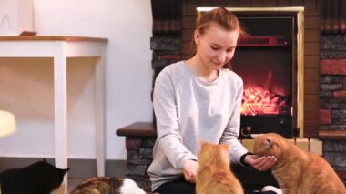 Şömine dinlenme şirin kedi kadınla. çok fazla kedi. tek kadın genç kız kedi kadın