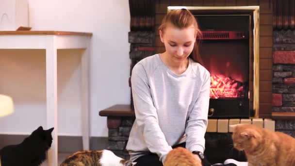 Mulher com gato bonito descansando perto da lareira. Um monte de gatos. mulher solteira jovem menina gata senhora — Vídeo de Stock