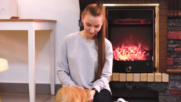 Mujer con gato lindo descansando cerca de la chimenea. un montón de gatos. mujer soltera chica joven gato dama — Vídeo de stock