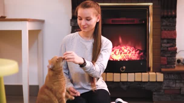 Mulher com gato bonito descansando perto da lareira. Um monte de gatos. mulher solteira jovem menina gata senhora — Vídeo de Stock