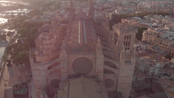 Barcelona, Spanien - 22 augusti 2018: Aerial stadsbilden i Palma de Mallorca med katedralen, Balearerna, Spanien — Stockvideo