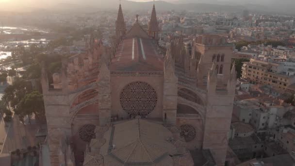 BARCELONA, SPAIN - 22 AUGUST 2018: Aerial cityscape of Palma de Mallorca with cathedral, Balearic Islands, Spain — Stock Video