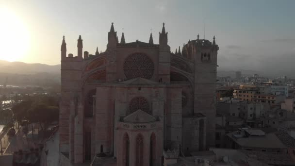 BARCELONA, SPAGNA - 22 AGOSTO 2018: Paesaggio aereo di Palma di Maiorca con cattedrale, Isole Baleari, Spagna — Video Stock