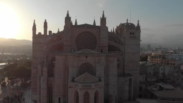 BARCELONA, SPAGNA - 22 AGOSTO 2018: Paesaggio aereo di Palma di Maiorca con cattedrale, Isole Baleari, Spagna — Video Stock