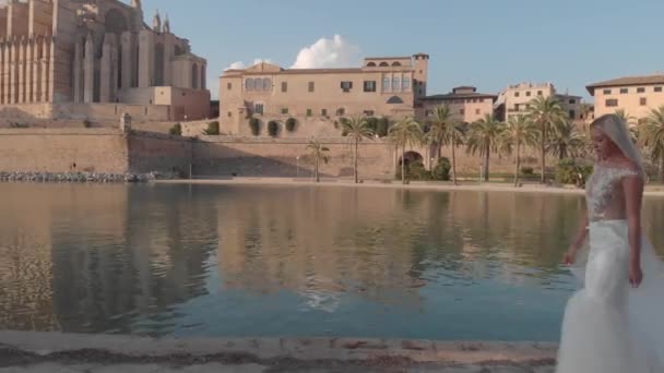 Letecké panorama města Palma de Mallorca s katedrálou, Baleárské ostrovy, Španělsko — Stock video