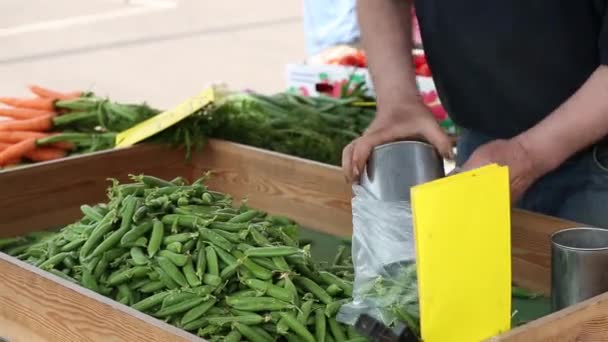 Psophocarpus tetragonolobus, frijol princesa orgánica en el mercado callejero tailandés . — Vídeo de stock