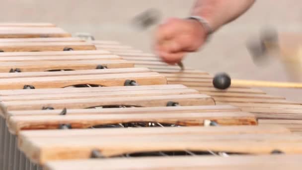 Een straat muzikant in een zwart die t-shirt een xylofoon speelt. — Stockvideo