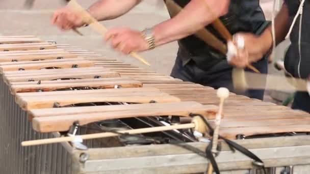 Músico Rua Uma Camiseta Preta Está Tocando Xilofone — Vídeo de Stock