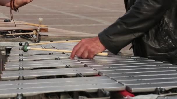 Een straat muzikant in een zwart die t-shirt een xylofoon speelt. — Stockvideo