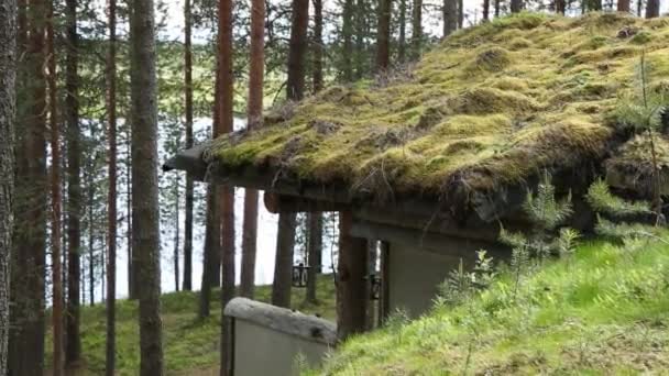 Ancienne maison en rondins avec herbe poussant sur le toit . — Video