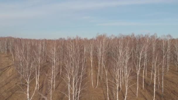 Vista aerea dall'alto della strada di campagna attraverso campi e foreste in estate. Clip. Vista dall'alto dell'area forestale con strada . — Video Stock