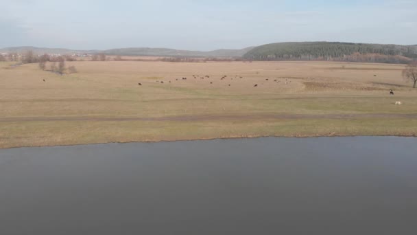 Republika Baškortostán Řek Podzimní Idrisovskaya Jeskyně Moderní — Stock video