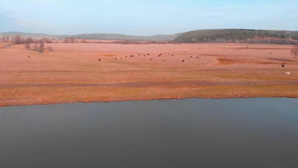 Republic of Bashkortostan, rivers, autumn Idrisovskaya cave. modern color toning — Stock Video