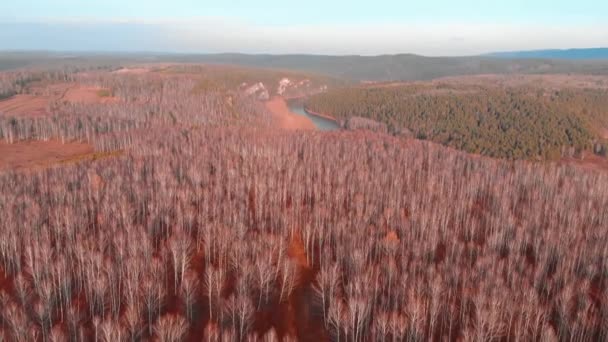 Vista aerea dall'alto della strada di campagna attraverso campi e foreste in estate. Clip. Vista dall'alto dell'area forestale con strada. tonificante colore moderno — Video Stock