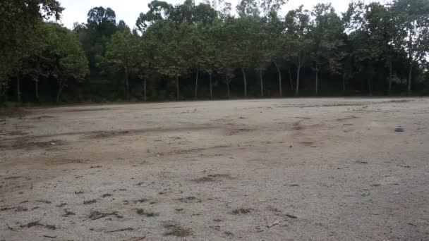 Modèle de voiture radiocommandé en course sur route sablonneuse . — Video