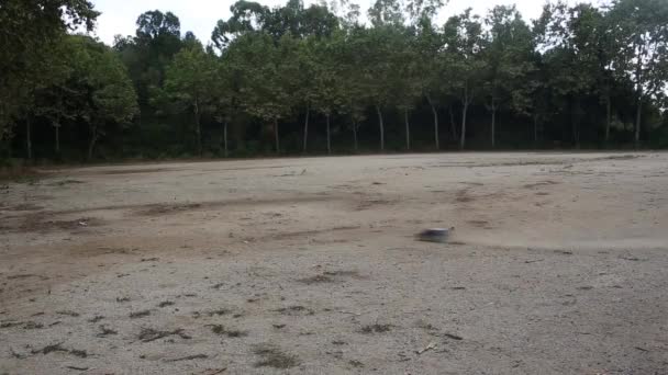 Modèle de voiture radiocommandé en course sur route sablonneuse . — Video