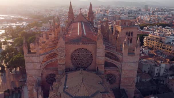 Palma de Mallorca Katedrali, Balear Adaları, İspanya ile hava cityscape — Stok video