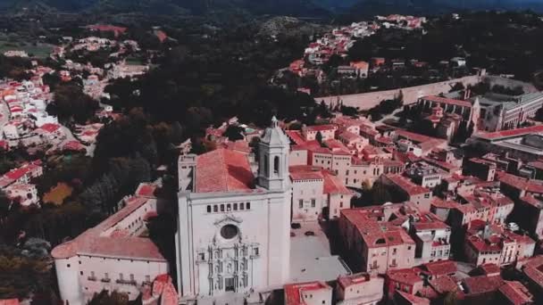 Palma de Mallorca Katedrali, Balear Adaları, İspanya ile hava cityscape — Stok video