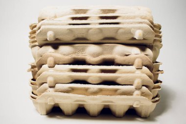 ayrıntılı beyaz Rich izole boş yumurta kartonu.