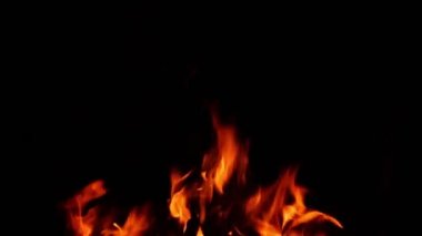 kamp ateşi gece siyah arka plan ile yanan