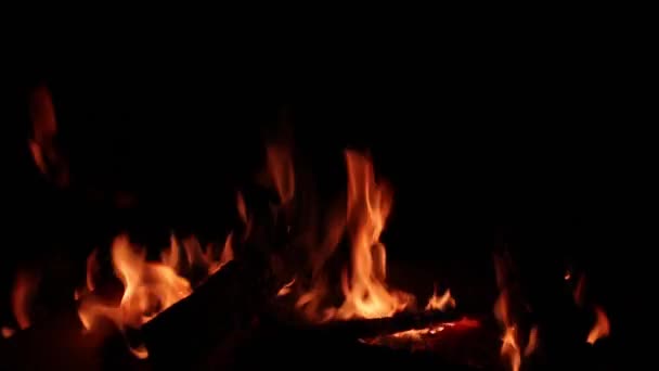 Camp fire burning in night with black background — Stock Video