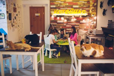 Ufa, Rusya Federasyonu, Koteinay, 5 Kasım, 2018: modern kedi Cafe güzel iç.