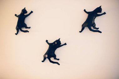 Ufa, Rusya Federasyonu, Koteinay, 5 Kasım, 2018: modern kedi Cafe güzel iç.