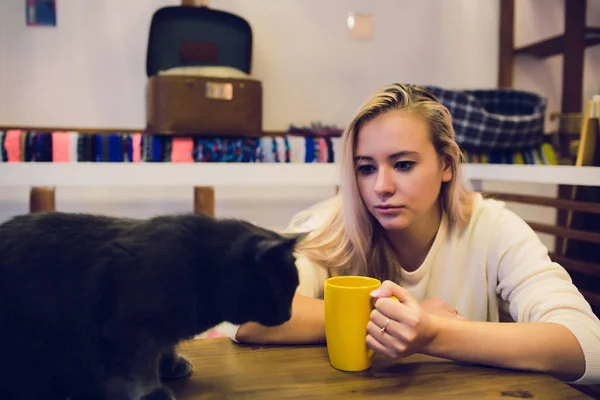 Девушка в тёплом свитере пьет кофе с красной кошкой на коленях в кошачьем кафе . — стоковое фото