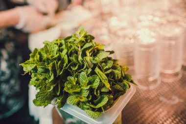 El mans nane demet tutmak, barmen Mojito hazırlanması için bir madde aldı.