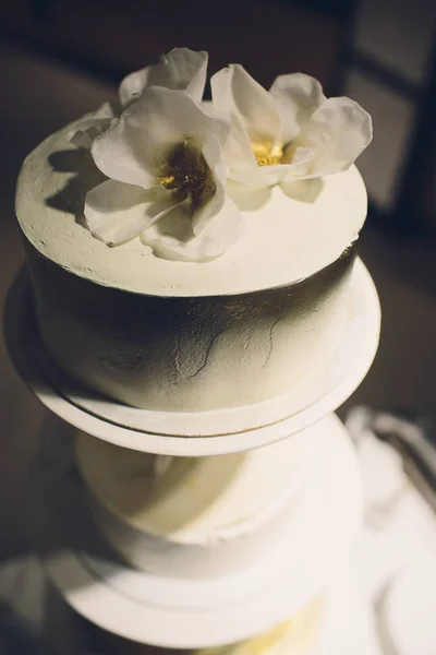 Beautiful and tasty wedding cake at wedding reception. — Stock Photo, Image