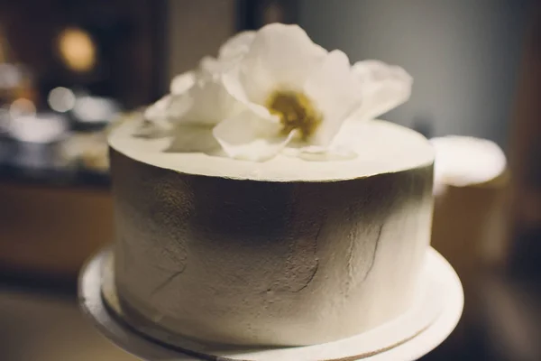 Mooi en smakelijke bruidstaart op Bruiloft Receptie. — Stockfoto